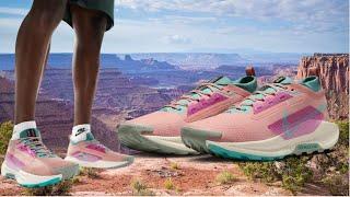 Nike Pegasus Trail 5 GORE-TEX Trail Running Shoes | Conquer The Trails!