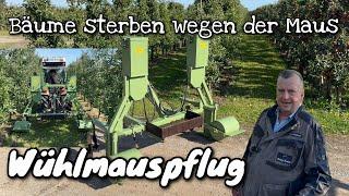 Obsthof Raddatz - Wühlmauspflug | Bäume sterben wegen der Maus | Schnelle Hilfe