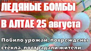 В Алтае Огромный Град с куриное яйцо травмировал сибиряков и повредил автомобили