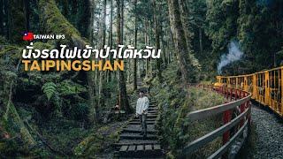 Ancient Forest Mountain Train Ride in Taiwan | Taipingshan Taiwan EP3 (CC ENG)