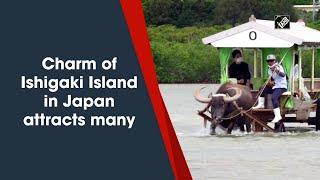 Charm of Ishigaki Island in Japan attracts many