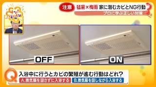 【注意】猛暑梅雨で “カビ爆増” 家に潜むカビとＮＧ対策行動 プロに学ぶ正しい対策とは？【サン！シャインニュース】