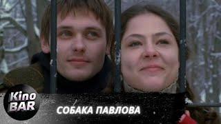 Собака Павлова / Комедийная Драма / 2005