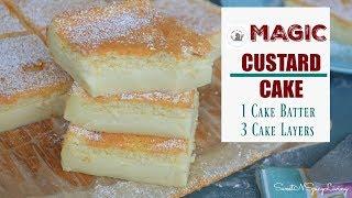 SweetNSpicyLiving Recipes - 3 Layers Magic Custard Cake (EP# 34)