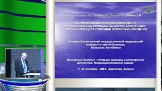 Засорин Б В - Экспериментальная оценка применения мезинхимальных стромальных клеток аллогенного кос