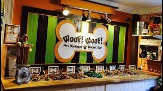 Pets+ Cool Store - Woof! Woof! Pet Boutique