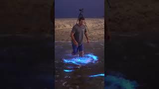 WOW! Bioluminescence spotted in SoCal!