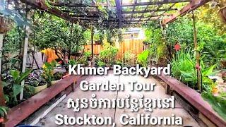 Khmer Backyard Garden Tour In Stockton, California | Khmer Vegetable Garden | Khmer Garden USA