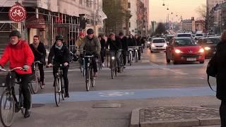 Cycling in Copenhagen