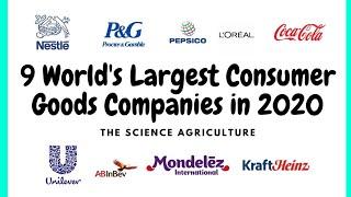 9 World's Biggest Consumer Goods Company