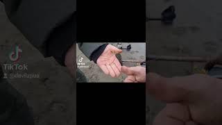 Золото на пляже города. Пляжный коп 2023. Первый выход в новом году.#золото #камрад #коп