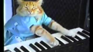 Kanye Interrupts Keyboard Cat! *Original*