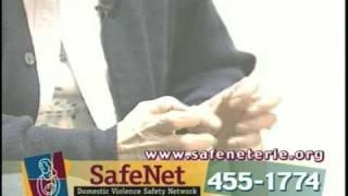 Safenet domestic violence
