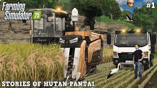 FS25 - EPIC FIRST RICE HARVEST & MAP DISCOVERY IN HUTAN PANTAI!  | Hutan Pantai | Timelapse #1