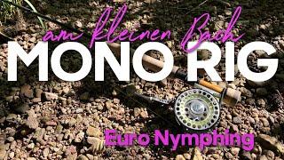 MONO RIG // Euro Nymphing am kleinen Bach #fliegenfischen #euronymphing #flyfishing