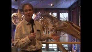 A Moby Dick Tour through the New Bedford Whaling Museum