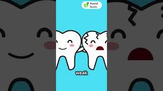 Dental Crowns Explained with a Twist! - [ Dental Facets ] #facts #dentalcare #oralcare