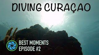 Diving Curaçao - Best Moments - Episode #2 | TropicLens   4K