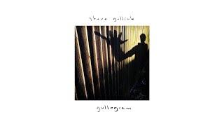 Steve Gullick "gullogram" photo book promo