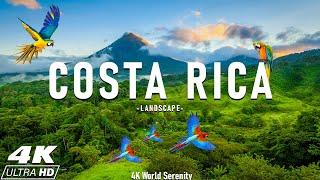 Costa Rica Rainforest 4K - Happiest Country On Earth With Exotic Wildlife - Scenic Relaxation Film