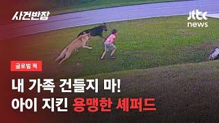 아이 향해 달려든 이웃집 개…'반려견 셰퍼드'가 한 행동 / JTBC 사건반장