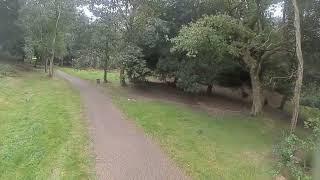 FPV Drone in trees - DJI goggles direct video