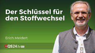 Wassermangel als Krankheitsursache | @MisterWater56 | Naturmedizin | QS24 Gesundheitsfernsehen