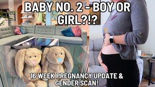 IS BABY NO.2 A GIRL OR A BOY?!?! | 16 Week Pregnancy Update & Gender Scan!!