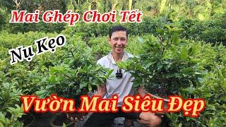  MINH 0333400239 MAI GIẢO THỦ ĐỨC SÀI GÒN VƯỜN ĐẸP NỤ KẸO 24/11/2024 BAO SHIP | Bến Tre Ơi