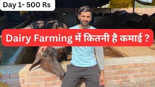 Dairy Farming से कितनी कमाई होती है ॥ How much can we earn in Dairy Farming .