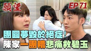 願望 EP71 完整版｜團圓夢層層阻礙 碧玉病重兒女崩潰！冬雨終於回歸卻換個身分？！｜Desires｜【十全果醋】