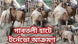 গাবতলী হাটে টর্নেডোর আক্র মণ।ক্রেতা ও বিক্রেতাদের জন্য ভয়া বহ অবস্থান, গাবতলী হাটের চিত্র