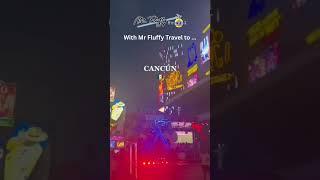 To Cancun, Mexico with Mr Fluffy Traval
