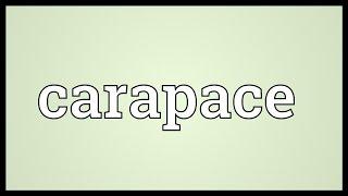 Carapace Meaning