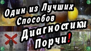 Один из Лучших Способов Диагностики Порчи! Старинный Метод и Его Разъяснение   Знахарь-Кирилл ‍