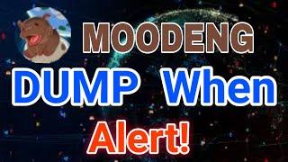 MOODENG Coin Price Prediction Today! Moodeng News Today! Moodeng Crypto