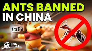 Censorship on China's Internet Is INSANE. See What's Banned This Month!!