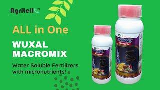 SWAL Wuxal Macromix : Water soluble fertilizers with micro-nutrients.