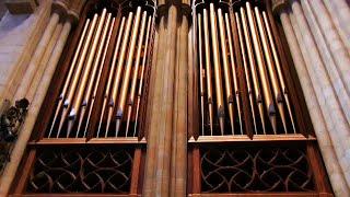 2014 Kegg Organ - Bryn Athyn Cathedral - Bryn Athyn, Pennsylvania