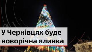 Головна ялинка повертається: коли і де встановлять новорічну красуню у Чернівцях | C4