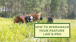 How to Mismanage Your Pasture Like a Pro