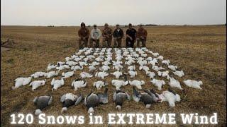 EPIC Snow Goose Hunting - 6 MAN LIMIT