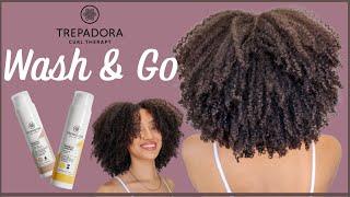 TREPADORA WASH & GO. The results... WOW!  ... THE SHRINKAGE IS REAL! | Natural Hair | AbbieCurls