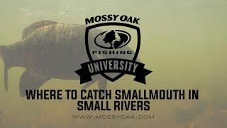 Where to Catch Smallmouth Bass in Creeks and Small Rivers