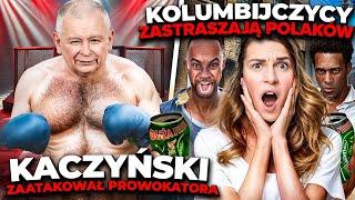 IMIGRANCI ATAKUJĄ POLAKÓW POD POZNANIEM [Kaczyński, Śrem, CPK, Trump, Harris, Olszewski]