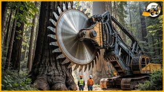 Fastest Firewood Processing Machine in Action  | World’s Most Powerful Forestry Equipment