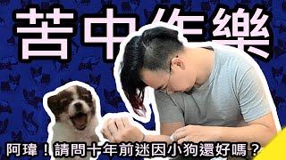 WhiteKuo珠寶設計師｜夫妻生活｜夫妻日常｜請注意音量｜帶您重溫十年前的迷因｜小狗阿瑋｜破傷風｜資源回收｜Jewelry｜Designer｜珠寶訂製