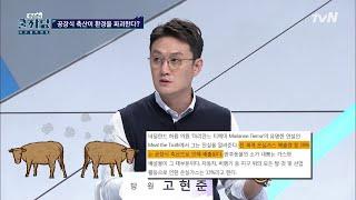 클린 푸드는 단순히 건강만의 문제가 아니다? 육식으로 일어나는 환경파괴 | 곽승준의 쿨까당 COOLKKADANG 190925 EP.329