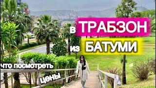 В ТРАБЗОН из БАТУМИ️ Что посмотреть, цены?