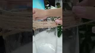 一個普通花盆的大逆襲